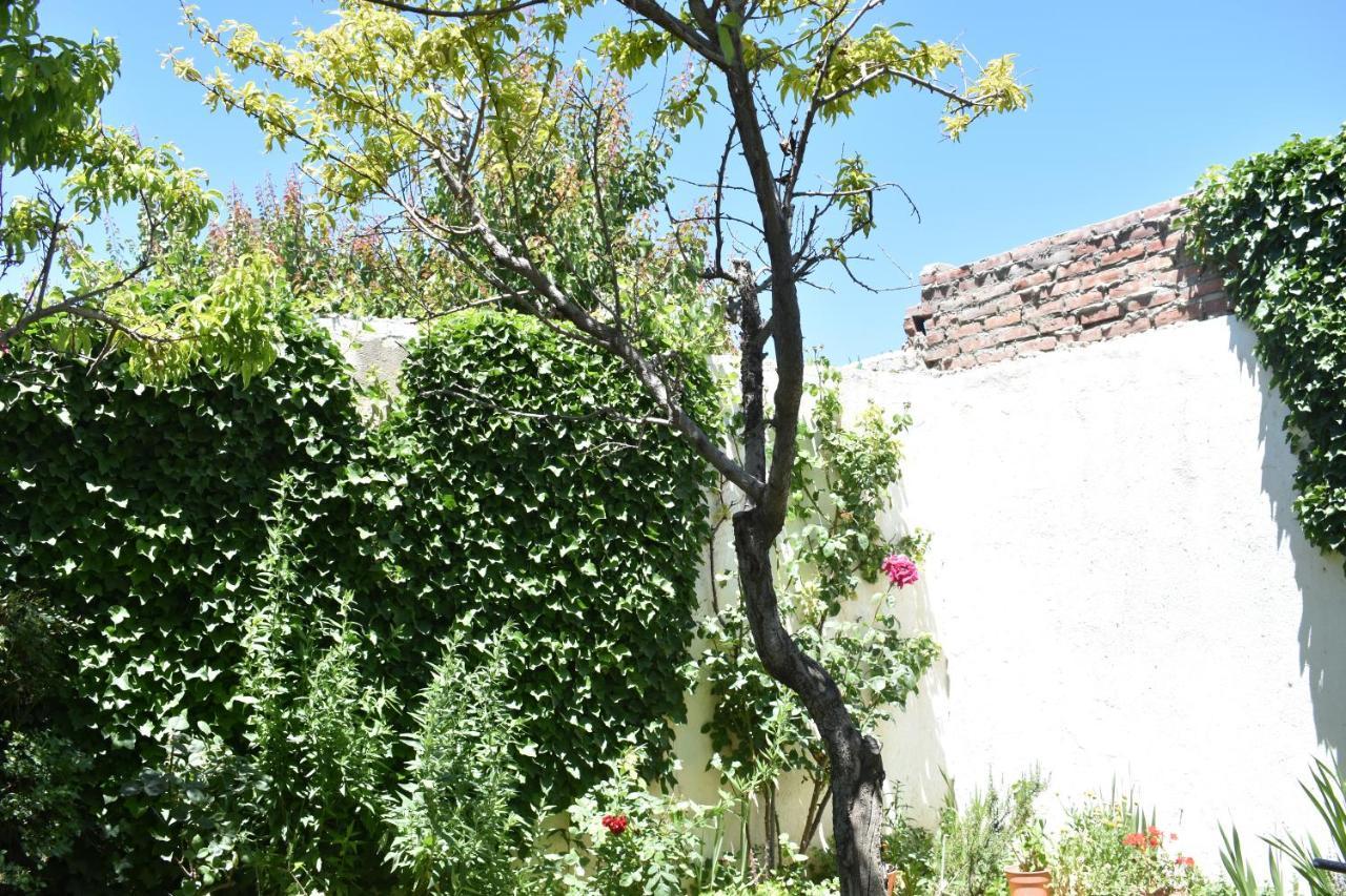 Del Alto-Viviendas Turisticas Zapala Exterior foto